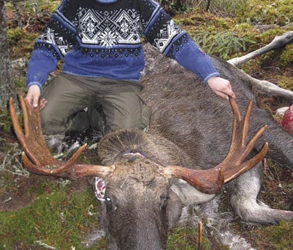 Tredje &auml;lgen f&ouml;r P&auml;r Augustsson blev en &auml;lgtjur med &aring;tta taggar p&aring; ena sidan och fem p&aring; den andra sidan.&nbsp;