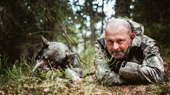 Peter Ekeström är ett av dragplåstren den här helgen när Jämtland Game Fair storsatsar på mässans hundprogram.