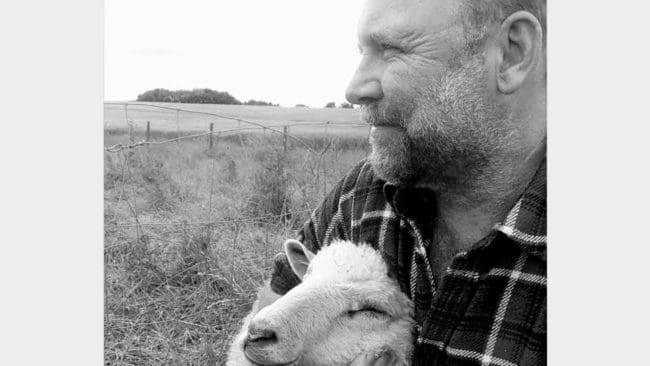 Peter Larsson, fårägare och författare, skriver ett öppet brev till Ulrika Greber, avdelningschef för landsbygd på länsstyrelsen i Stockholm, där han frågar henne varför hon sätter varg framför naturvärden och KRAV-märkt lammproduktion.