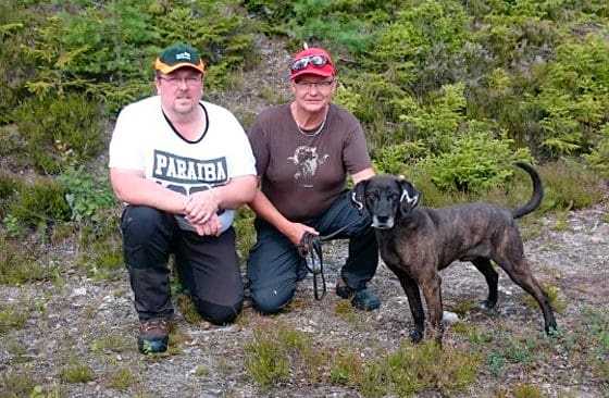 Ursus Rex blev den första hunden som godkändes vid ett officiellt viltspårprov med björndel. Här är han tillsammans med domaren Jan-Olof Olsson och hundföraren Anders Lindkvist.