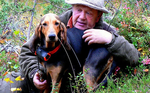 Leif Joelsson i Ytterhogdal slutar som domare vid jaktprov i protest mot de hoppl&ouml;sa vargl&auml;get f&ouml;r st&ouml;varjakten. Han slutar &auml;ven med l&ouml;shundsjakten och avelsarbetet.