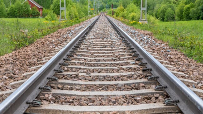 En död varg hittades på ett tågspår i Fagersta på tisdagen, men vargen är troligtvis inte påkörd av tåget. Saken betraktas som ett misstänkt grovt jaktbrott. (Arkivbild)