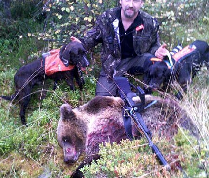 Experter i Norge. Rasmus Bostr&ouml;m och hans mest erfarne plotthund, Oryx, deltar som experter i ett f&ouml;rs&ouml;k med skyddsjakt p&aring; bj&ouml;rn med drivande hundar.