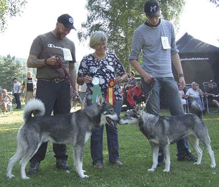 B&auml;sta hannen bland j&auml;mthundar blev Pansartorpets Truls, &auml;gd av Nils L&ouml;v fr&aring;n H&auml;llefors. Domaren Erna Britt Nordin gav BIR-utm&auml;rkelsen bland j&auml;mtarna till Fj&auml;llj&auml;garens Dimma, &auml;gd av Emil Gunnarsson i F&auml;rila.