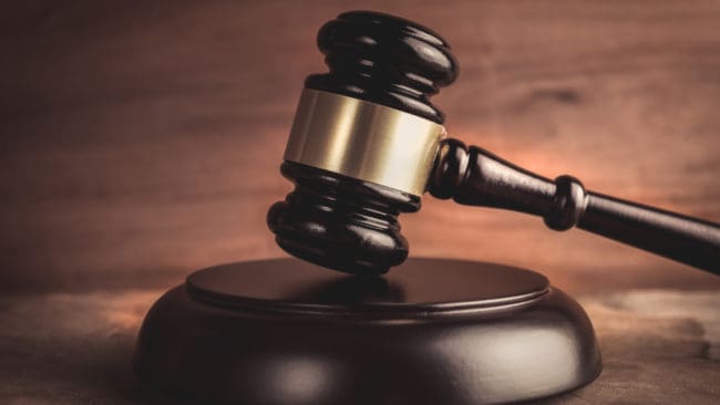 Kammarrätten tar inte upp överklagan av licensjakten på varg.