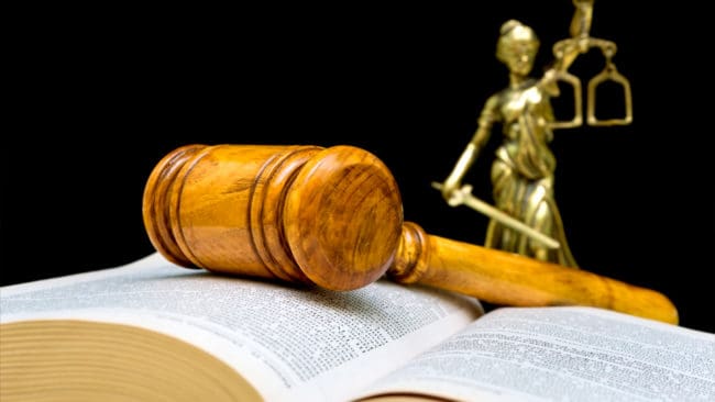 Hittills har vargaktivisterna inte lyckats stoppa skyddsjakten på Södertörnsvargen den juridiska vägen. I dag kom en ny dom från Kammarrätten och en till dom från Förvaltningsrätten. Bland annat visar domarna att varken miljöpartister eller privatpersoner anses ha talerätt.