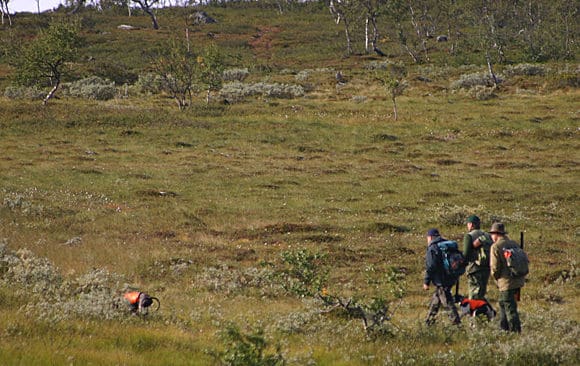 J&auml;gare och f&ouml;retagare &auml;r uppretade av den avlysta sm&aring;viltjakten i fj&auml;llen och kvoteringen av jaktkorten.