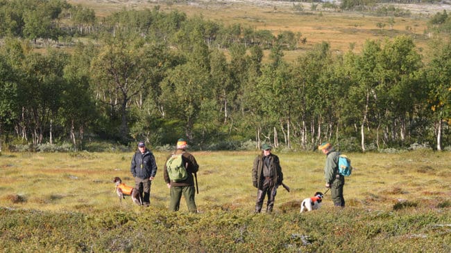 Många jägare är oroliga över hur domen i målet mellan Girja sameby och staten, där samebyn ensam vill förvalta småviltsjakten i fjällen. (Arkivbild)