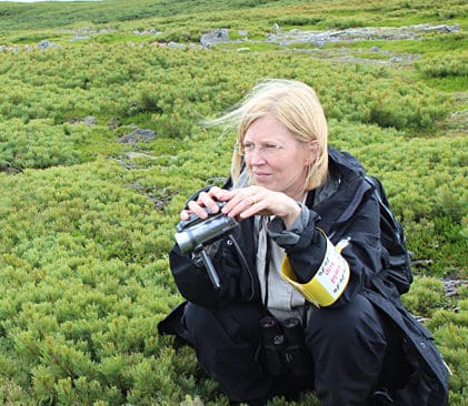 Maria H&ouml;rnell-Willebrand i Japan f&ouml;r att observera fj&auml;llripor.&nbsp;De svenska riporna f&aring;r ett &rdquo;normald&aring;ligt&rdquo; &aring;r p&aring; grund av h&ouml;gre predatortryck.