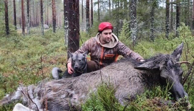 Robin Granström där han trivs bäst – i skogen, under jakten med en hund vid sin sida.