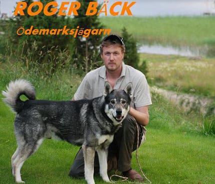 Roger och Nitro. J&auml;mthunden Nitro d&ouml;dades av bj&ouml;rn vid jakt. En av l&aring;tarna p&aring; Rogers CD-skiva handlar om deras sista jakt tillsammans.