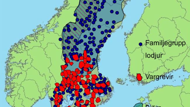 Framtidskartan. S&aring; kan kartan &ouml;ver Rovdjurssverige komma att se ut - om landet ska ha 450 vargar s&ouml;der om rensk&ouml;tselomr&aring;det.