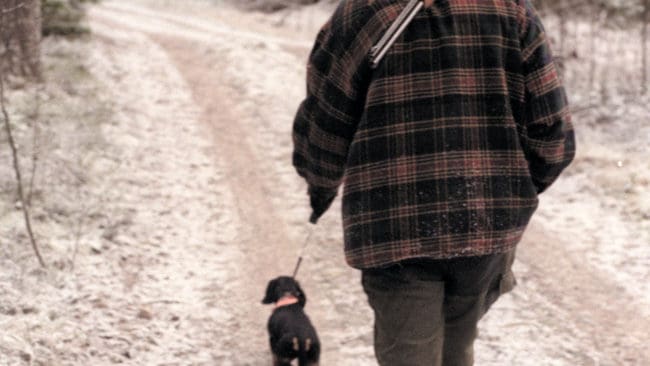 Med bössan på axeln och taxen Frö i koppel visar Johnny Larsson vägen till rådjurens trakter. Förutsättningarna för rådjursjakt har ändrats radikalt i markerna sedan lostammen började växa på allvar.