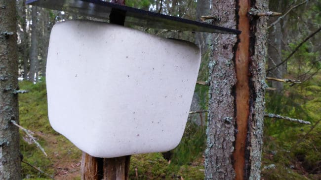 Även slickstenar är förbjudna i Norge eftersom de kan starta en smittkedja.