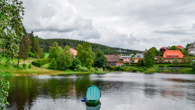 En varg som vandrat över 60 mil har hittats i sjön Schluchsee i tyska Baden-Württemberg.