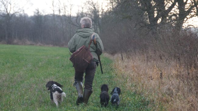 13 jägare har lurats att betala sammanlagt 190 000 kronor för jaktmöjligheter som inte fanns. Två personer i Skåne är åtalade för jaktbedrägerierna, som enligt åklagaren främst drabbat unga och oerfarna som är överlyckliga att äntligen hitta en jaktmark. (Arkivbild)