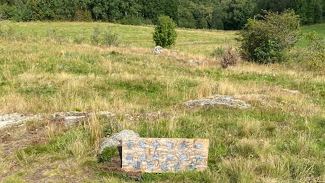 Efter att jägaren stått utanför bostaden på landsbygden och avlossat sin nya halvautomatiska 22-studsare mot den här träfiberskivan kom en insatsstyrka från polisen och omringade huset. Skytten är misstänkt för att rispat en golfare med en kula cirka 250 meter i motsatt skjutriktning.