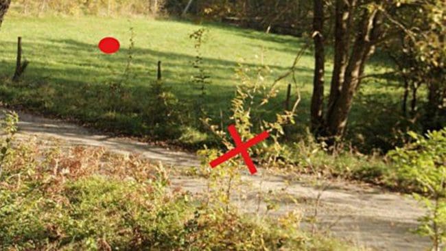 Krysset visar var hundägaren stod på vägen och punkten var polisen letat efter de två kulorna som avlossades för att skrämma bort hundägaren från älgjaktsområdet.