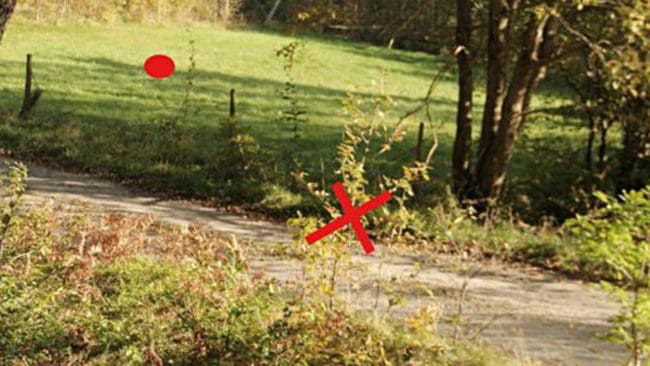 Krysset anger var hundägaren befann sig under skottlossningen. Pricken visar var polisen letat spår efter att kulor träffat marken. Men det saknas både fysiska bevis för skottlossningen, eller att skotten träffat i närheten av hundägaren.