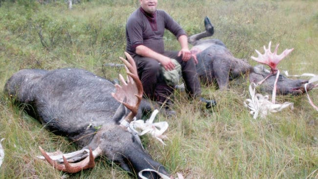 – Jag visste att jag fått in en bra smäll på den första. Därför vågade jag skjuta på den andra älgen också, kommenterar Leif Johansson.