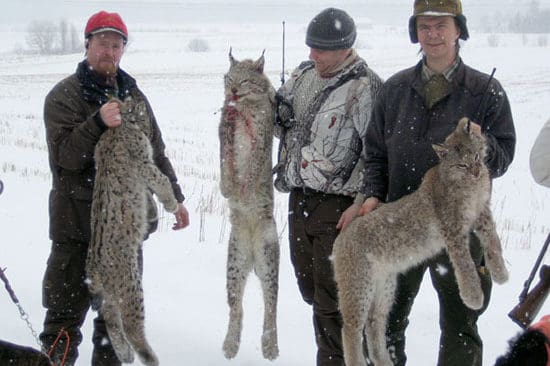 Anders Kjersel, Jimmy Mårtensson och Lennart Edman deltog i den lyckade lojakten utanför Avesta.