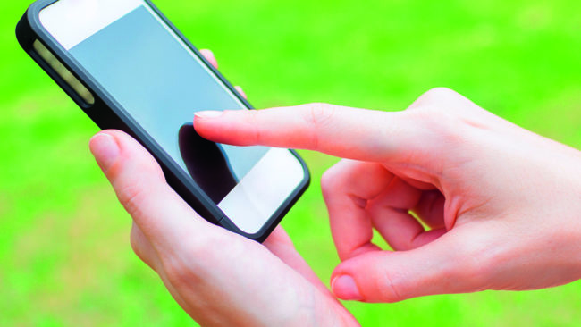 Tamdjursägare i Jönköpings län kan anmäla sig till sms-tjänsten Rovdjursalerten för att få rapporter när det skett angrepp.