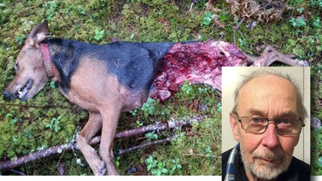 Schillerstövaren Smillas död förändrade livet för Ulf Eriksson.