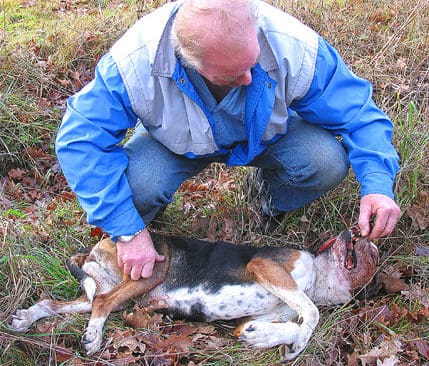 Tony Törngren med stövartiken Snoa sedan hennes dumpade kropp hittats. Snoa hade misshandlads innan hon sköts med ett finkalibrigt vapen i huvudet. Framtänderna i överkäken är utslagna.