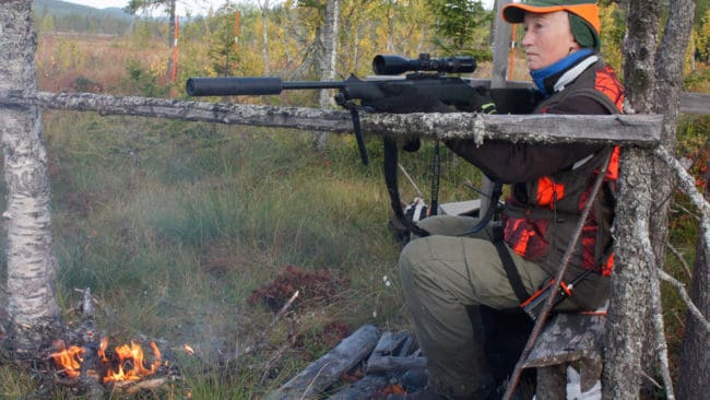 Värnarorganisationernas försök att underskatta en redan underskattad vargstam är direkt oförskämt, tycker Solveig Larsson, förbundsordförande för Jägarnas Riksförbund.