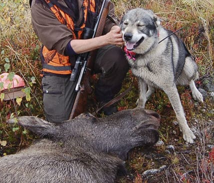 Lagr&aring;dsremissen om den framtida &auml;lgjakten b&auml;ddar f&ouml;r tv&aring;ngssammanslutningar eller risk f&ouml;r utanf&ouml;rskap f&ouml;r dem som jagar &auml;lg p&aring; mindre marker, varnar JRF-basen Solveig Larsson.
