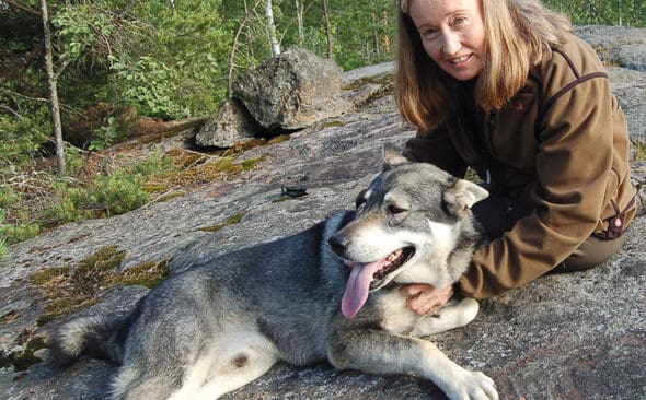 F&ouml;rhoppningsvis kan de stadsn&auml;ra vildsvinen ge storst&auml;dernas betraktare en tankest&auml;llare. N&auml;r m&auml;nniskor och vilda djur g&ouml;r anspr&aring;k p&aring; samma omr&aring;den &auml;r det sj&auml;lvklart f&ouml;r J&auml;garnas Riksf&ouml;rbund att m&auml;nniskors behov ska g&aring; f&ouml;rst, skriver JRF-basen Solveig Larsson. Det g&auml;ller b&aring;de or&auml;dda vildsvin inne i Stockholm och oskygga vargar i Ockelbo.