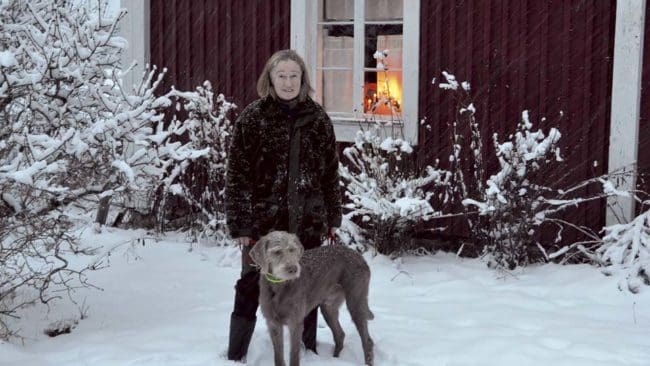 – Med detta beslut får skogens konung, älgen, ingen julfrid, utan kommer istället att utsättas för ökade vargangrepp framöver, säger Solveig Larsson, förbundsordförande för Jägarnas Riksförbund.