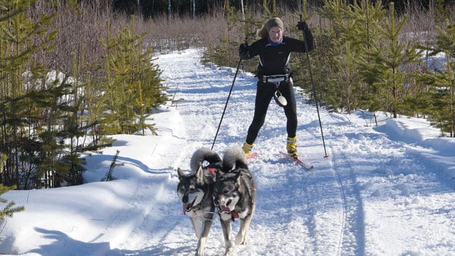 ”Licensjakten på lodjur har resulterat i nya överklagandekonster. Länsstyrelserna har fått lära att snabbt skriva nya, anpassade beslut när avslag kommer från högre instans”, skriver Solveig Larsson, förbundsordförande för Jägarnas Riksförbund (JRF).