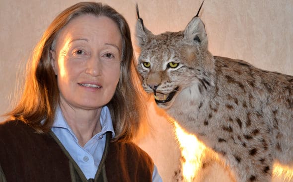 JRF-basen Solveig Larsson konstaterar att den stoppade licensjakten p&aring; lodjur inte handlar om att lostammen &auml;r f&ouml;r svag. Det beror snarare p&aring; att inventeringarna av lostammen &auml;r f&ouml;r d&aring;liga eller inte sker alls.