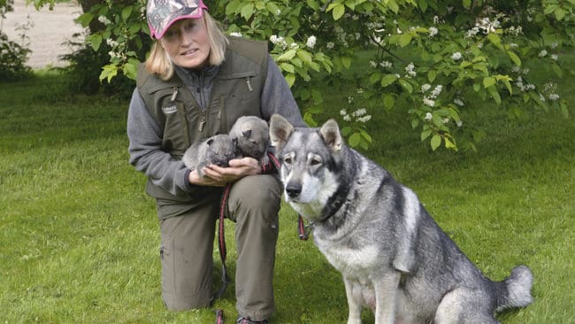 JRF:s förbundsordförande Solveig Larsson är nöjd med årets stämma. – Stämman utstrålade värme och harmoni i vårt förbund, med goda samtal både under stämman och vid sidan av det formella, säger Solveig Larsson.