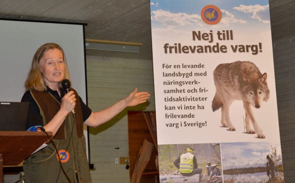 Solveig Larsson, ordförande för Jägarnas Riksförbund, konstaterar att både vargpolitiken och den nya Vargkommittén har havererat. Förbundets fortsatta nej till frilevande varg i Sverige är enda vägen framåt.