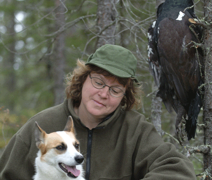 Att gå en morgon- eller kvällstur med norrbottenspetsen Överstjuktans Cajo är den absolut bästa avkopplingen för Sonja Edlund. Men nu börjar byråkratin och länsstyrelsens kontrollbehov nå sådana nivåer att själva frihetskänslan i jakten är hotad.