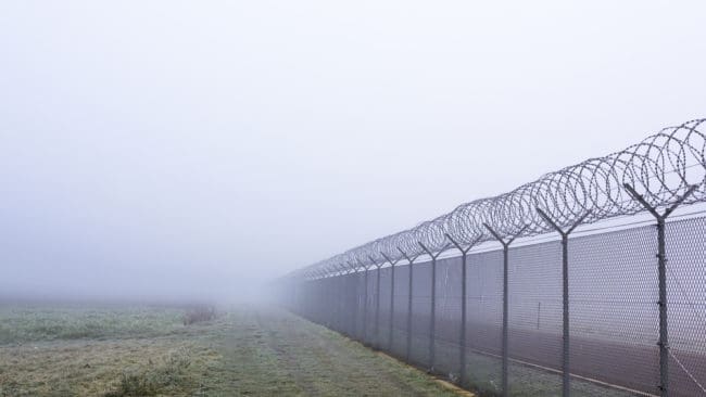 Vilda djur tar sig inte förbi stängsel som satts upp i Europa och Centralasien.