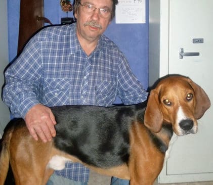 Hamiltonst&ouml;varen Lord klarade sig undan de tre vargarna n&auml;r husse Jouko Sepp&auml;l&auml; avlossade ett varningsskott.