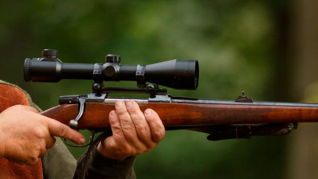 Regeringen avslår Ruvhten Sijtes begäran om att stoppa jakten för jägare som fått tillstånd att jaga på renbetesområde.