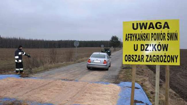 Vägspärr med desinficering av däcken på fordon som kommer från ett område med svinpest. I Sverige blir det en stor krisövning under två dagar för bland andra jägarorganisationerna med rollspel hur utbrott av svinpest ska bemötas.