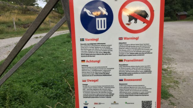 Fram till den 7 juli i år har det upptäckts 7 185 fall med vildsvin som fått afrikansk svinpest i EU-länderna. Det är på samma nivå som under hela 2019.