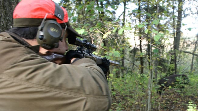 Hundratals jägare väntas delta när det blir en samordnad storjakt på vildsvin i Norrtälje kommun i veckoslutet. Det är kommunen som tagit initiativet till samjakten för att lindra vildsvinsproblemen inne i Norrtälje. (Arkivbild)