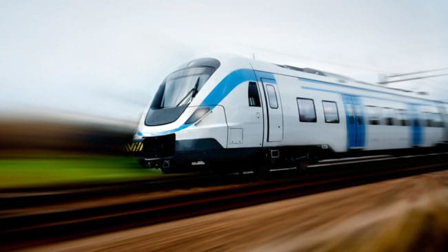 Sex älgar och en hel del rådjur har dödats av tåget mellan Falun och Borlänge, eftersom sly lockar dem till banvallen.