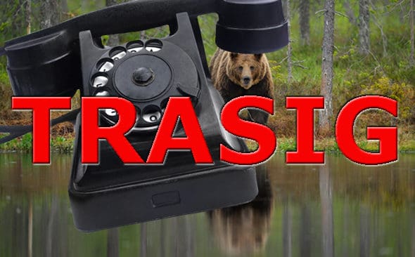 Bj&ouml;rntelefonen har g&aring;tt s&ouml;nder i G&auml;vleborg. J&auml;garna uppmanas att ringa numret f&ouml;r f&auml;lld bj&ouml;rn eller direkt till naturbevakarna.
