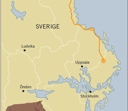 Naturv&aring;rdsverkets kartritare l&aring;tsas inte om Junseletikens &ouml;desdigra passage vid hamnomr&aring;det i G&auml;vle. Staden &auml;r inte ens utsatt p&aring; kartan.