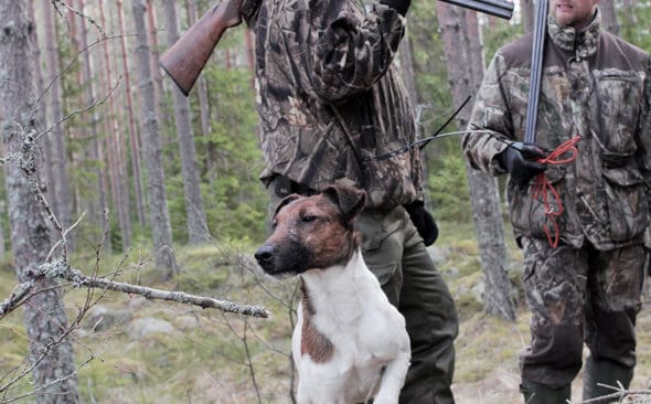 Jakt & J&auml;gare&nbsp;f&ouml;ljde med rovdjursj&auml;garna Janne Rissanen och Jocke L&ouml;nnberg och deras hundar p&aring; jakt i vargrevir.