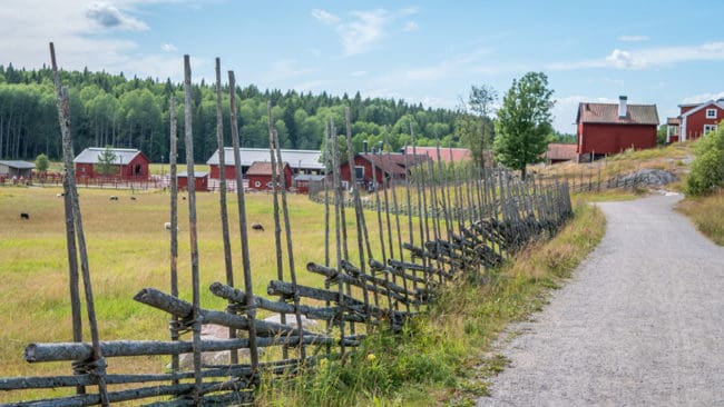 Stiftelsen Tyrestaskogen ansökte om bidrag till rovdjursavvisande stängsel redan för två år sedan, men fick nej. Nu ska de göra en ny ansökan, men tycker inte att det ska utföras någon skyddsjakt.
