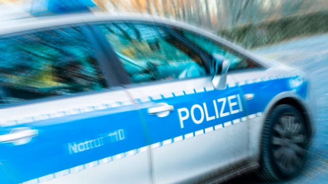 Tyska vargaktivister vill ha en specialstyrka i polisen som bekämpar illegal vargjakt.