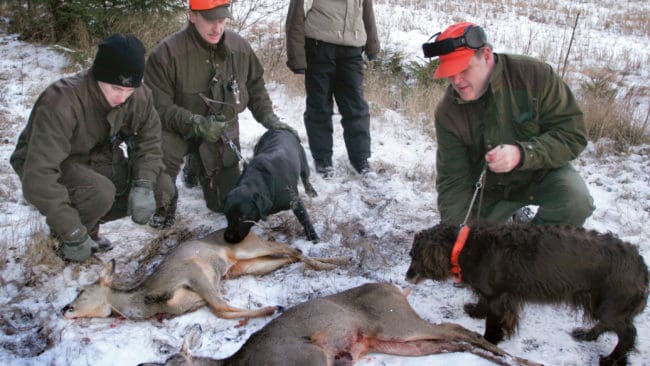 Det behövs fler unga jägare. Här en jakt vid Fimmersta gård i Ekeskog utanför Töreboda, där det är naturligt med yngre deltagare.